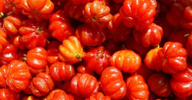 Doces: Aprenda a fazer geleia de pitanga, uma receita tropical simples e deliciosa, perfeita para adicionar um toque especial às suas refeições