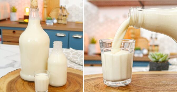 Bebidas: Licor caseiro de coco cremoso é uma excelente maneira de finalizar o dia, aprenda