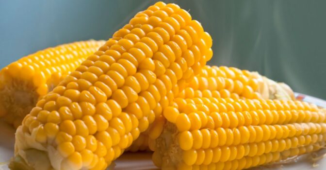 Dicas para Cozinha: Como cozinhar milho