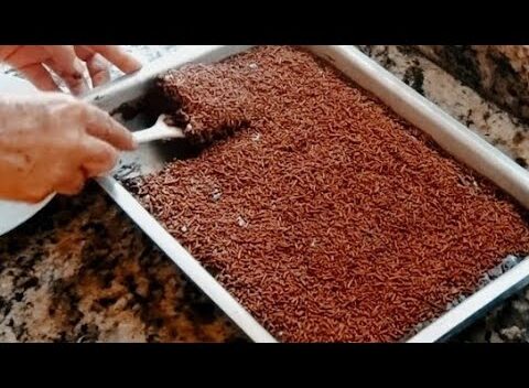 Bolos: BOLO DE CHOCOLATE FÁCIL, MASSA FOFINHA FEITO A MÃO